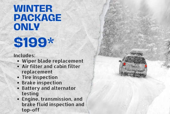 Winterizing Special Package