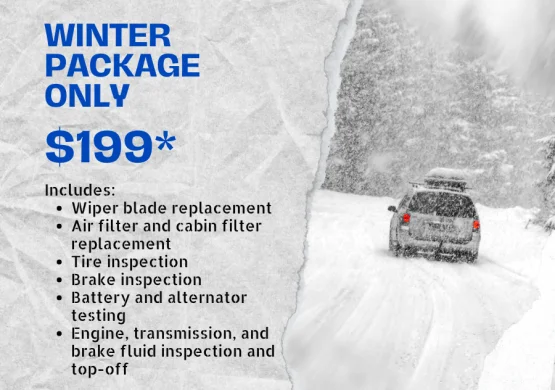 Winterizing Special Package