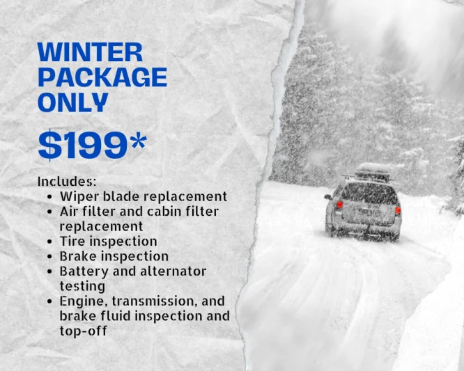 Winterizing Special Package